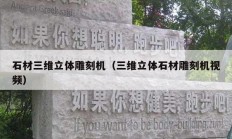 石材三維立體雕刻機（三維立體石材雕刻機視頻）